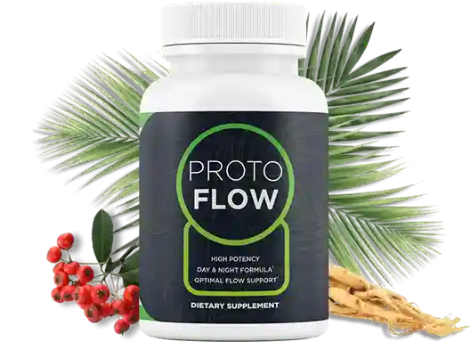 ProtoFlow Official Logo